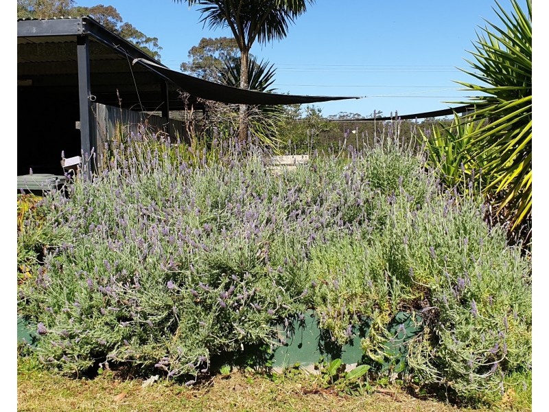 1319 Booral Road, Girvan NSW 2425