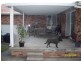 16 Joseph Sheen Drive, Raymond Terrace NSW 2324