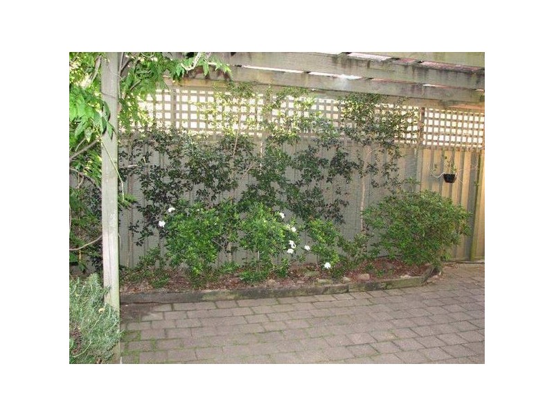 Clarence Town NSW 2321