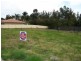 167 Benjamin Lee Drive, Raymond Terrace NSW 2324