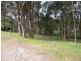 15 Replica Close, Raymond Terrace NSW 2324