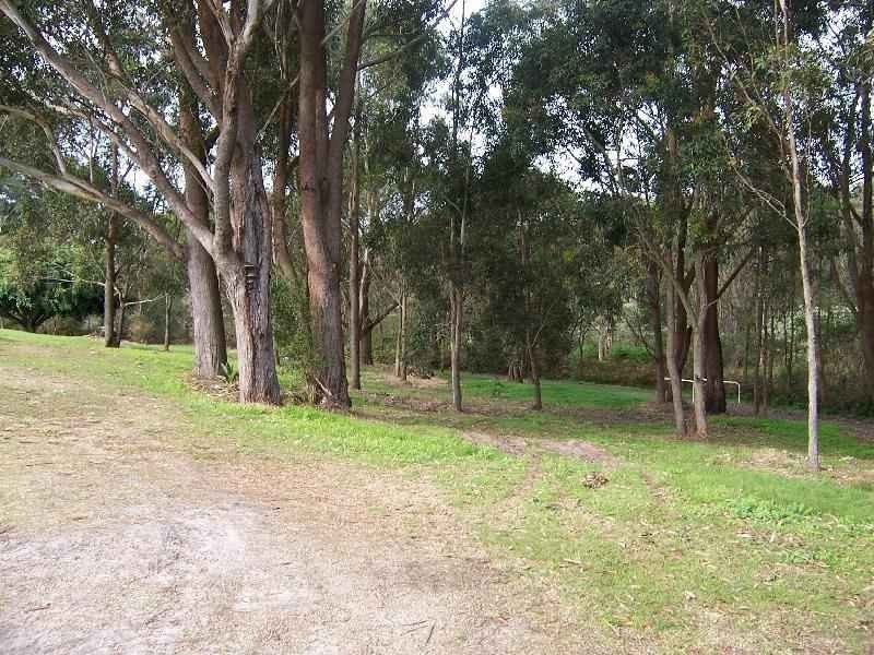 15 Replica Close, Raymond Terrace NSW 2324