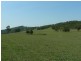 1597 Dungog Road, Dungog NSW 2420