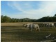 Clarence Town NSW 2321
