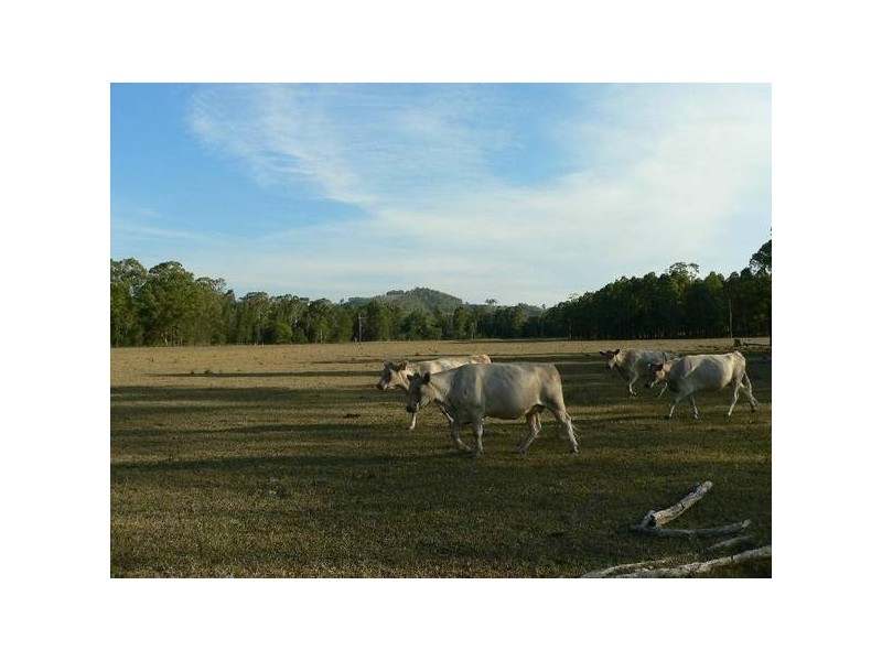 Clarence Town NSW 2321