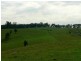 Dungog NSW 2420