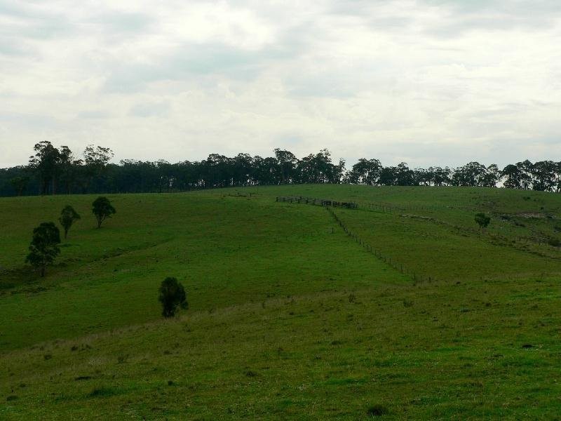 Dungog NSW 2420