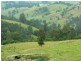 Dungog NSW 2420