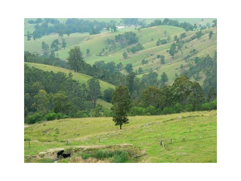 Dungog NSW 2420