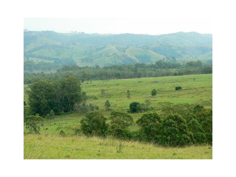 Dungog NSW 2420
