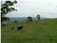Dungog NSW 2420