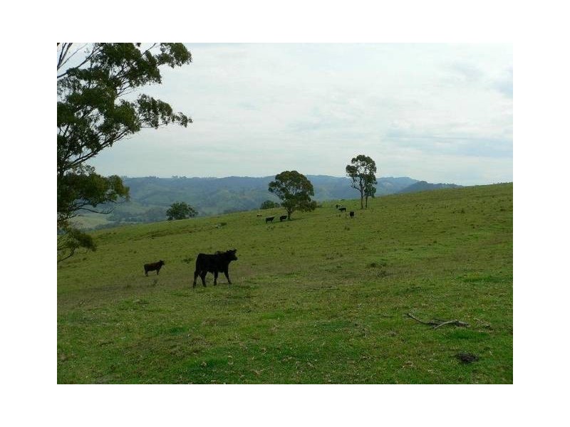 Dungog NSW 2420