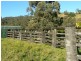 Dungog NSW 2420