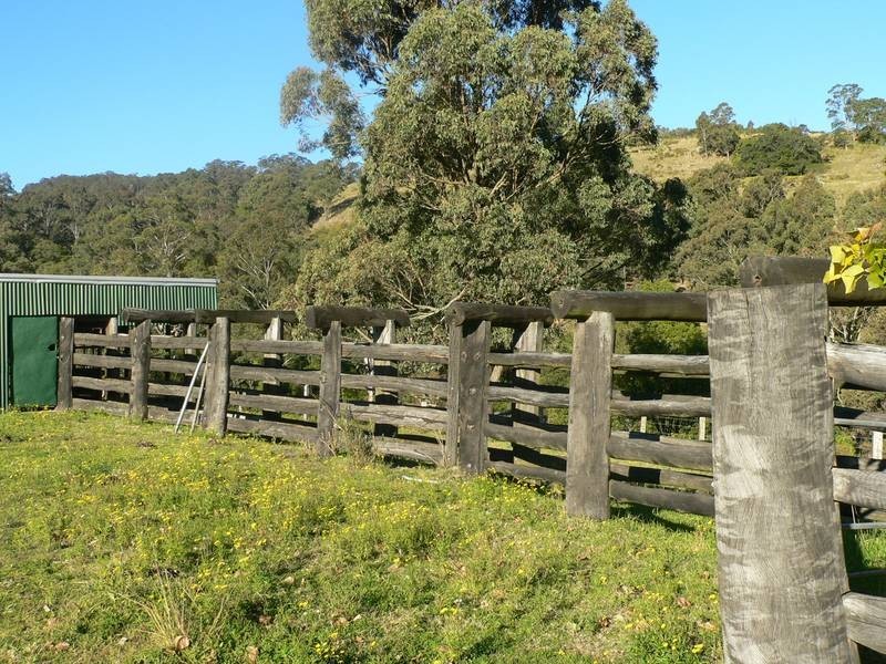Dungog NSW 2420