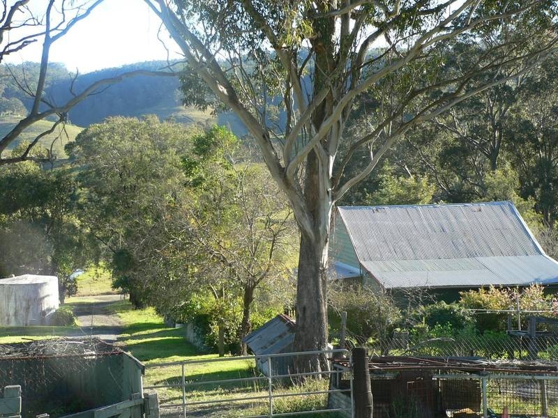 Dungog NSW 2420