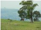 Dungog NSW 2420