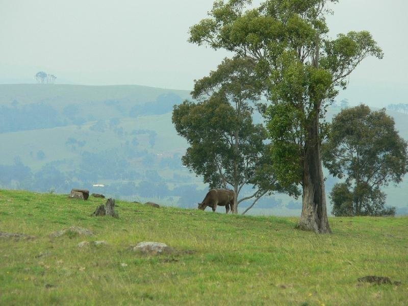 Dungog NSW 2420