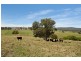 Clarence Town NSW 2321