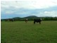 Clarence Town NSW 2321