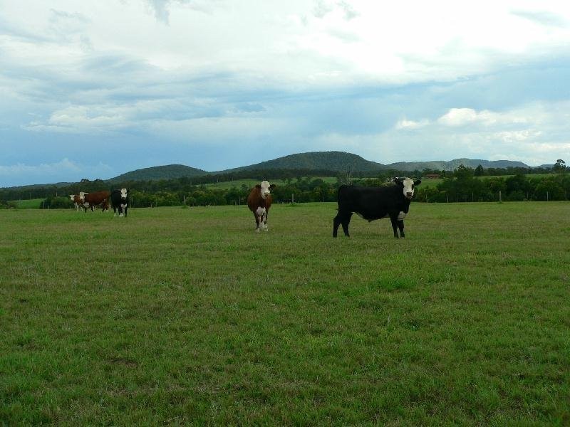Clarence Town NSW 2321