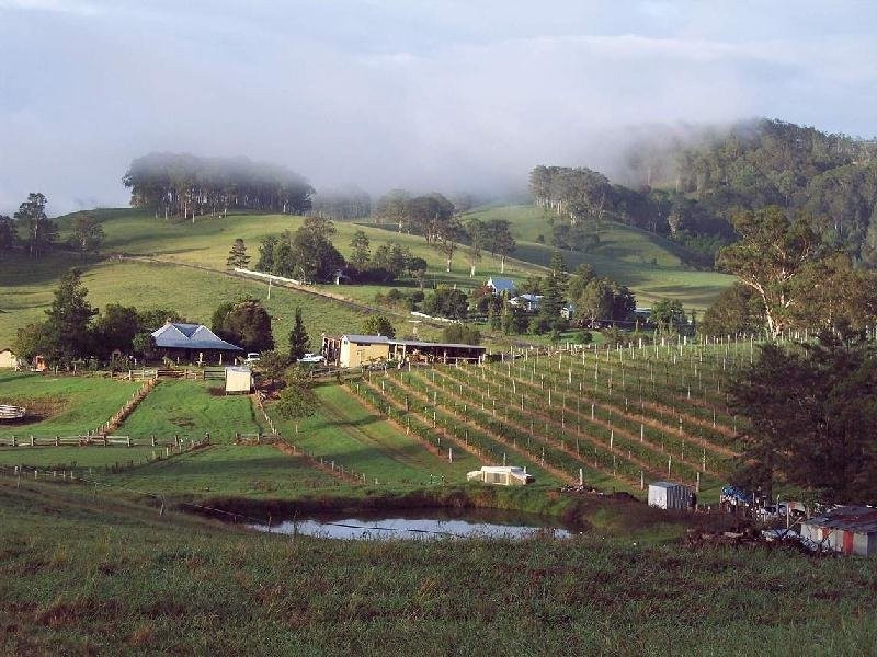 524 Bucketts Way, Stroud NSW 2425