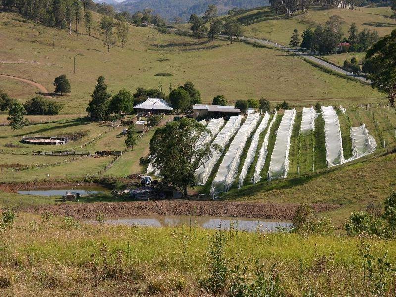 524 Bucketts Way, Stroud NSW 2425