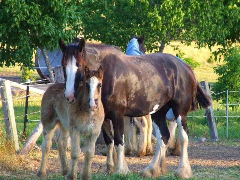 524 Bucketts Way, Stroud NSW 2425