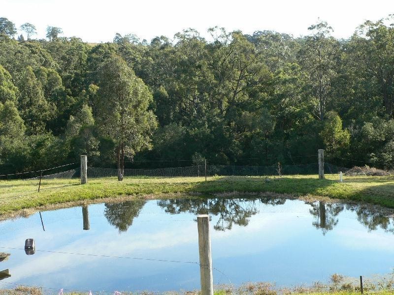 256 Wallarobba Road, Wallarobba NSW 2420