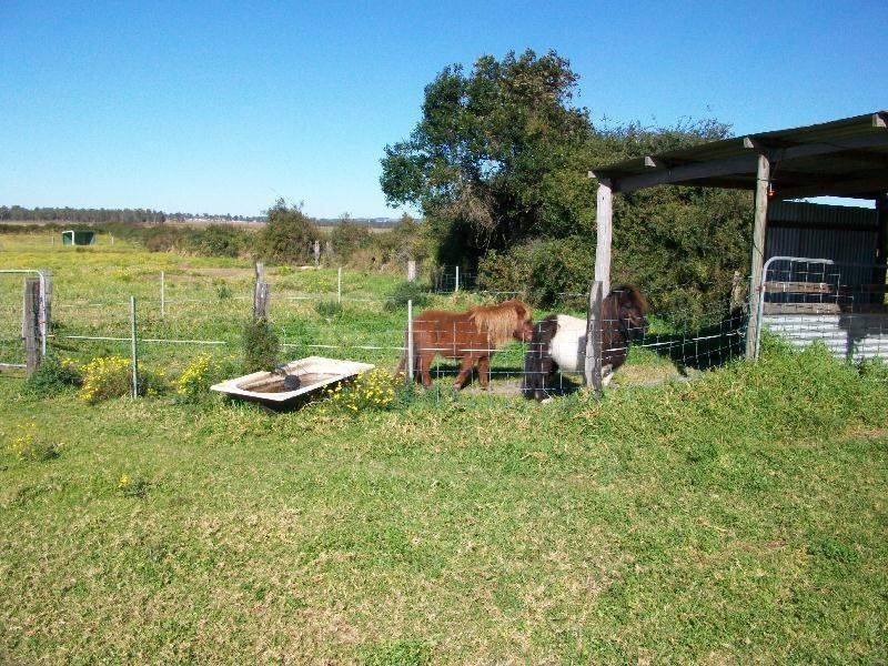 Millers Forest NSW 2324