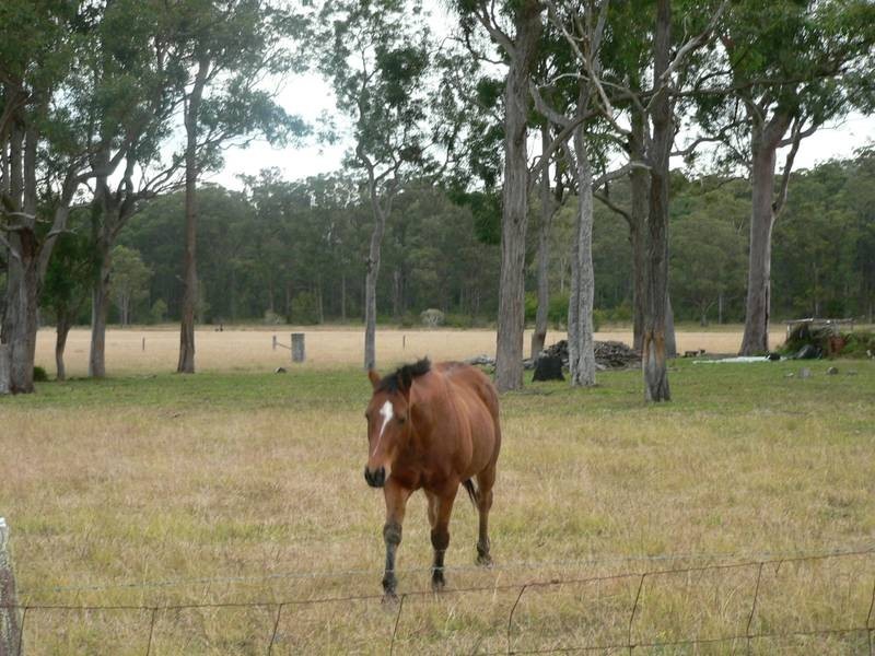 391 Rileys Road, Limeburners Creek NSW 2324