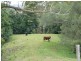 571 GLEN MARTIN ROAD, Glen Martin NSW 2321