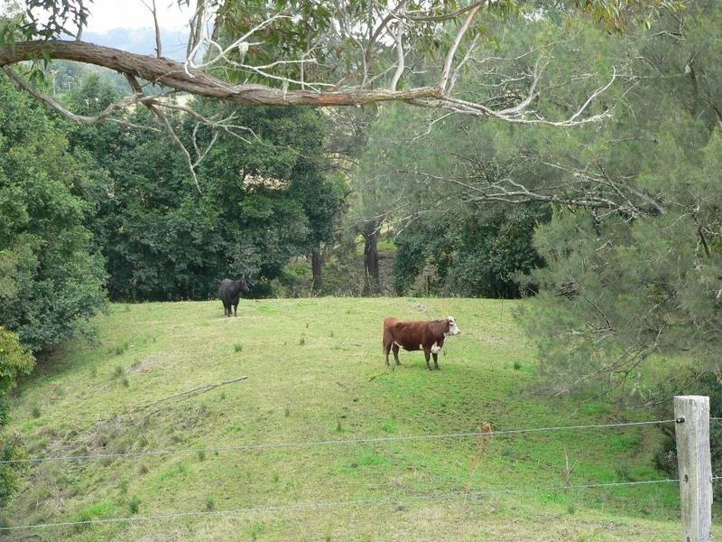 571 GLEN MARTIN ROAD, Glen Martin NSW 2321