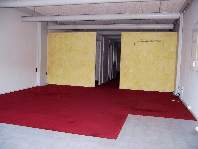 41 William Street, Raymond Terrace NSW 2324