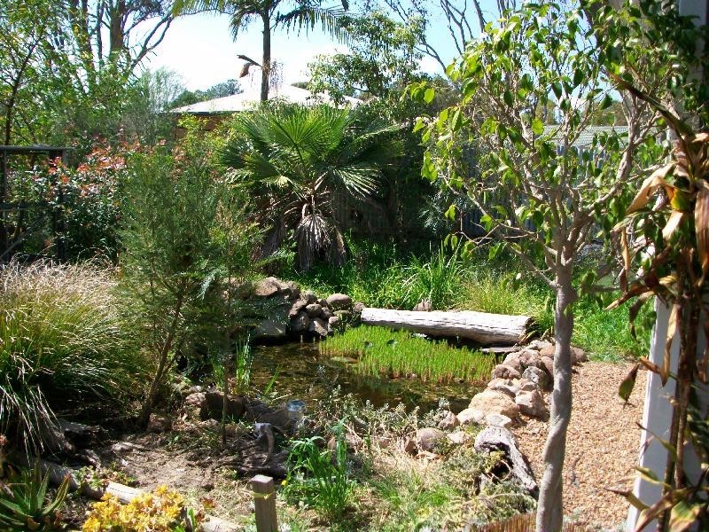 91 Richardson, Raymond Terrace NSW 2324