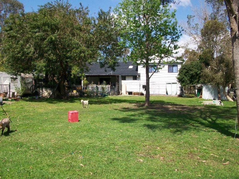 91 Richardson, Raymond Terrace NSW 2324