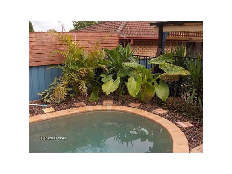 1 THE TERRACE, Raymond Terrace NSW 2324