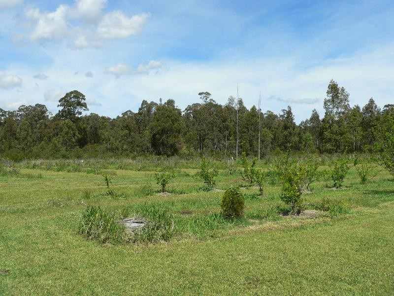 1013 Bucketts Way, Limeburners Creek NSW 2324