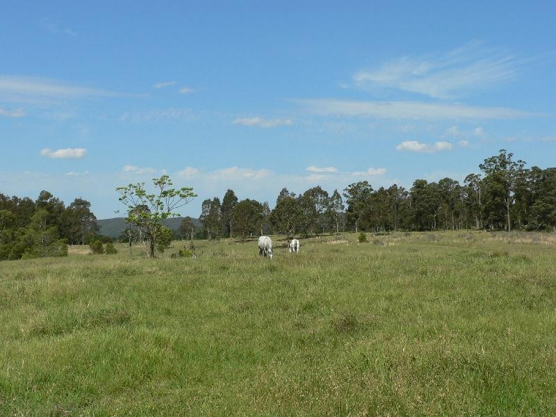 1286 limeburners creek road, Clarence Town NSW 2321