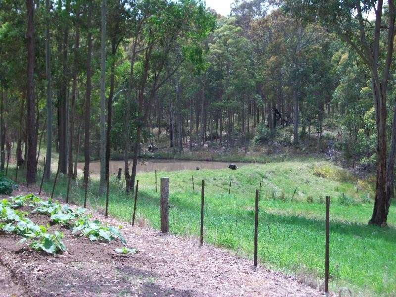 64 Six Mile Road, Eagleton NSW 2324