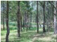 64 Six Mile Road, Eagleton NSW 2324