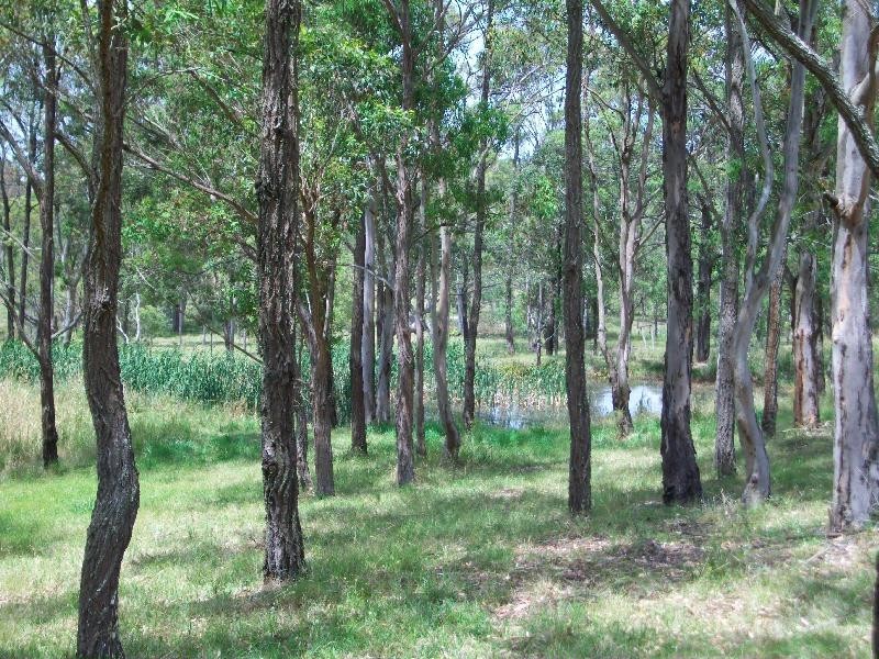 64 Six Mile Road, Eagleton NSW 2324