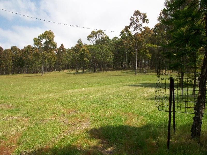 64 Six Mile Road, Eagleton NSW 2324