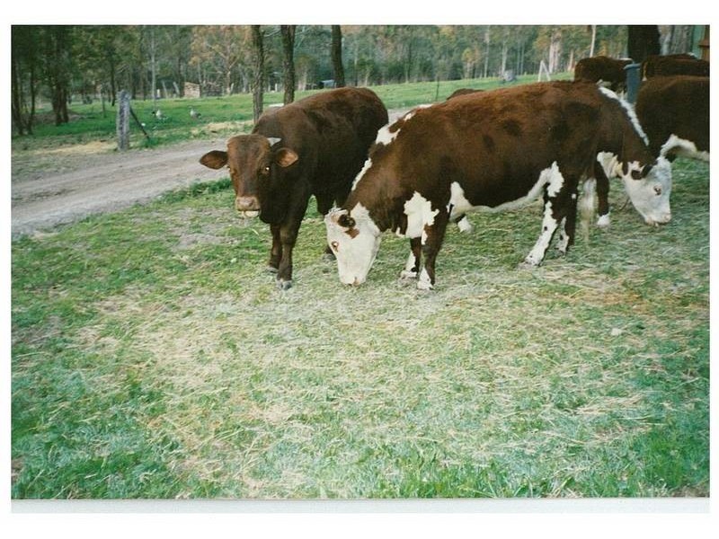 64 Six Mile Road, Eagleton NSW 2324