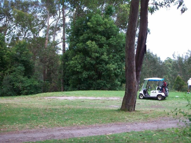 36 Rosemount Drive, Raymond Terrace NSW 2324