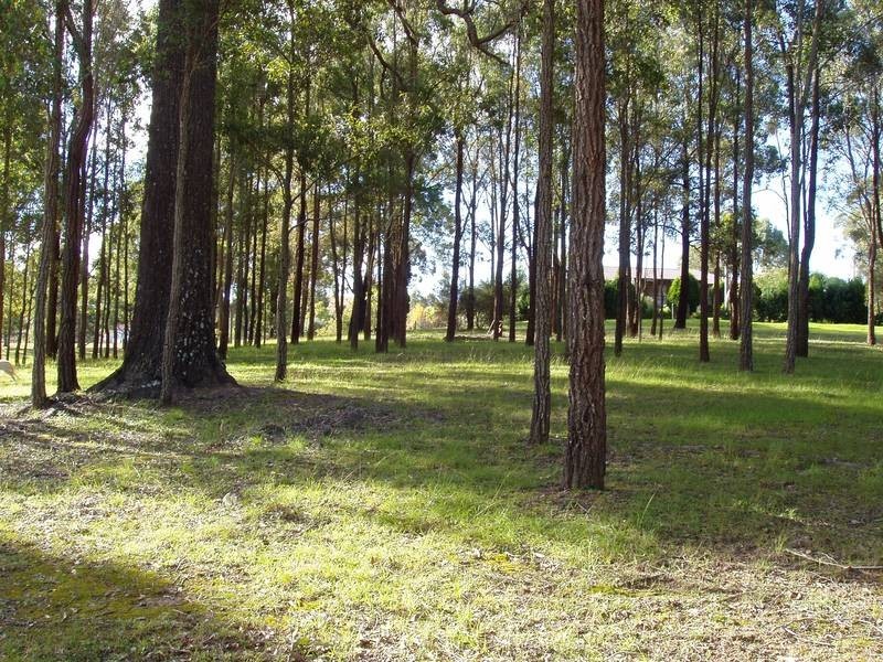 12 Erringhi Street, Clarence Town NSW 2321