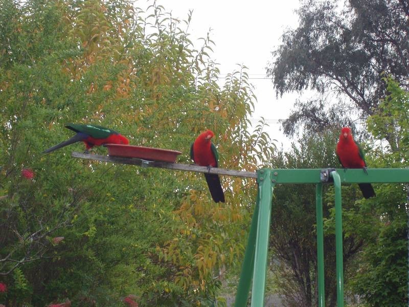 12 Erringhi Street, Clarence Town NSW 2321