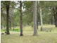 Clarence Town NSW 2321