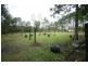 Park Ridge QLD 4125