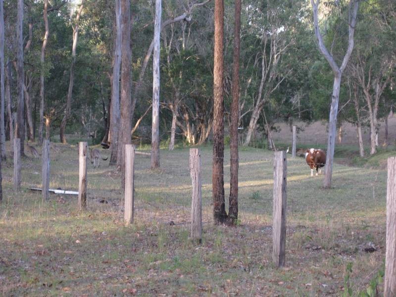 25 Penndenis Road, Tamborine QLD 4270