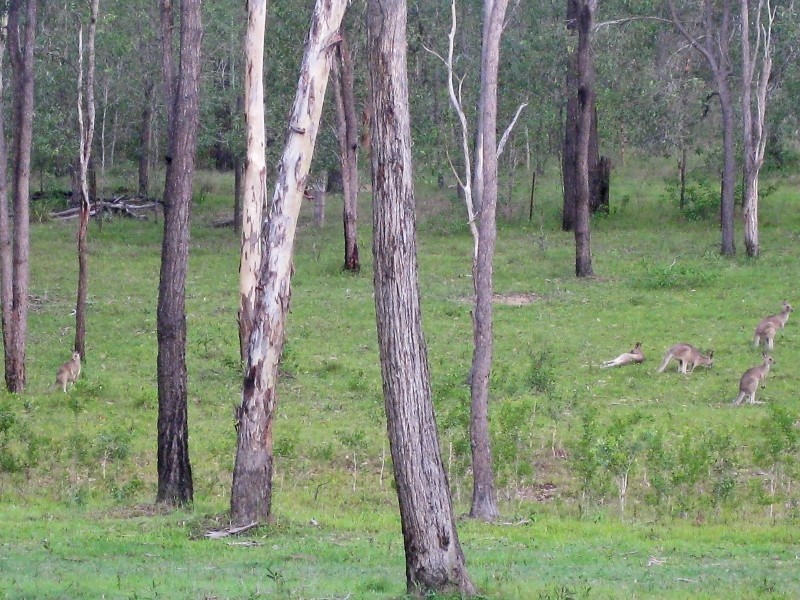 25 Penndenis Road, Tamborine QLD 4270